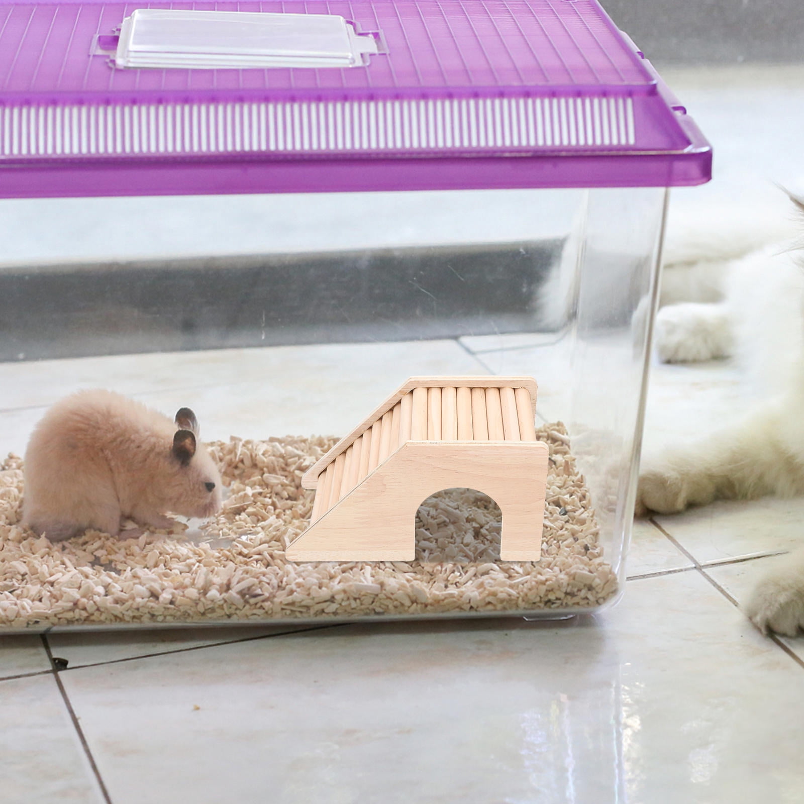 Photo inspiration: Hamster Hides Chinchilla Cage Landscaping Ladders Wood Flexible Hamster Photo Inspiration