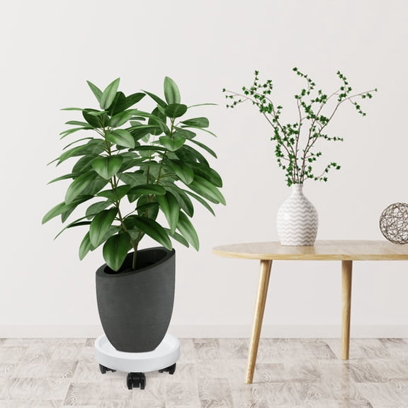PBPBOX 1Pc Simple White Flowerpot Base Tray Thickened Material for Plant Pot Water Control