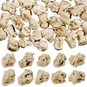 Bbiamsleep 50 Pcs Mini Resin Animal Skull Heads Miniature Animal Skull Figurines Mini Halloween Skulls Mini Skull Figurine Miniature Skulls for Crafts Halloween Christmas Micro Landscape Decor