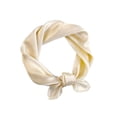 thumbnail image 1 of Bbyeadc Women's Neck Scarf Satin Outdoor Sports Square Scarf Lightweight Elegant Bandanas for All Seasons,Beige(One Size), 1 of 2