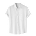 thumbnail image 1 of Bcfgryg Male Summer Hawaii Solid Shirt Short Sleeve Pocket Turn Down Button Shirt Business Shirts Men, 1 of 5