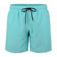 thumbnail image 1 of Bcfgryg Men's Solid Color Loose Casual Stretch Lined Beach Trunks Men's Linen Shorts For Summer Travel Mint Green S, 1 of 4