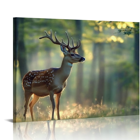 Bciig Deer Forest Sunlight Art Modern Canvas Prints for Living Room Bedroom Home Office Wall Decor 20x16in