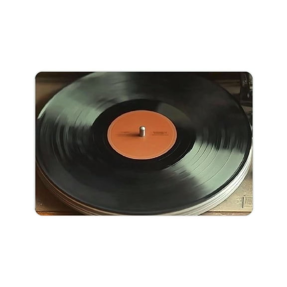 Bciig Diatom Mud Mats Non-Slip Retro Home Style Quick Drying and Absorbent Oval Arc Corners Perfect Gift 24x16in