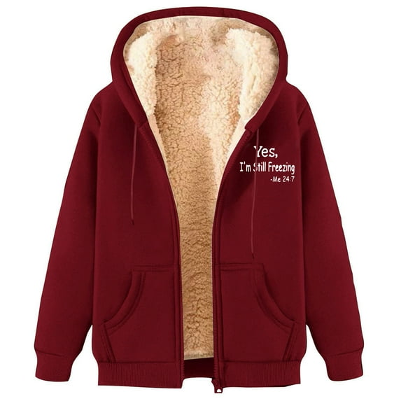 Bcresic Reduced,Sherpa Lined Hooded Sweatshirt for Women Full Zip Up Cozy Warm Jackets Fleece Lining Casual Thick Sweater Coat with Pockets(Wine,XXL)