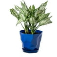 thumbnail image 1 of Bcylexb 4.9 Inch Planter Pot, Flower Pot with Saucers Mini Plant Pot for Indoor Outdoor Plants or Flowers, 1 of 8