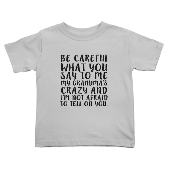 Be Careful What You Say To Me My Grandma's Crazy Funny Toddler T Shirts for Boys Girls (Gray, 3T)