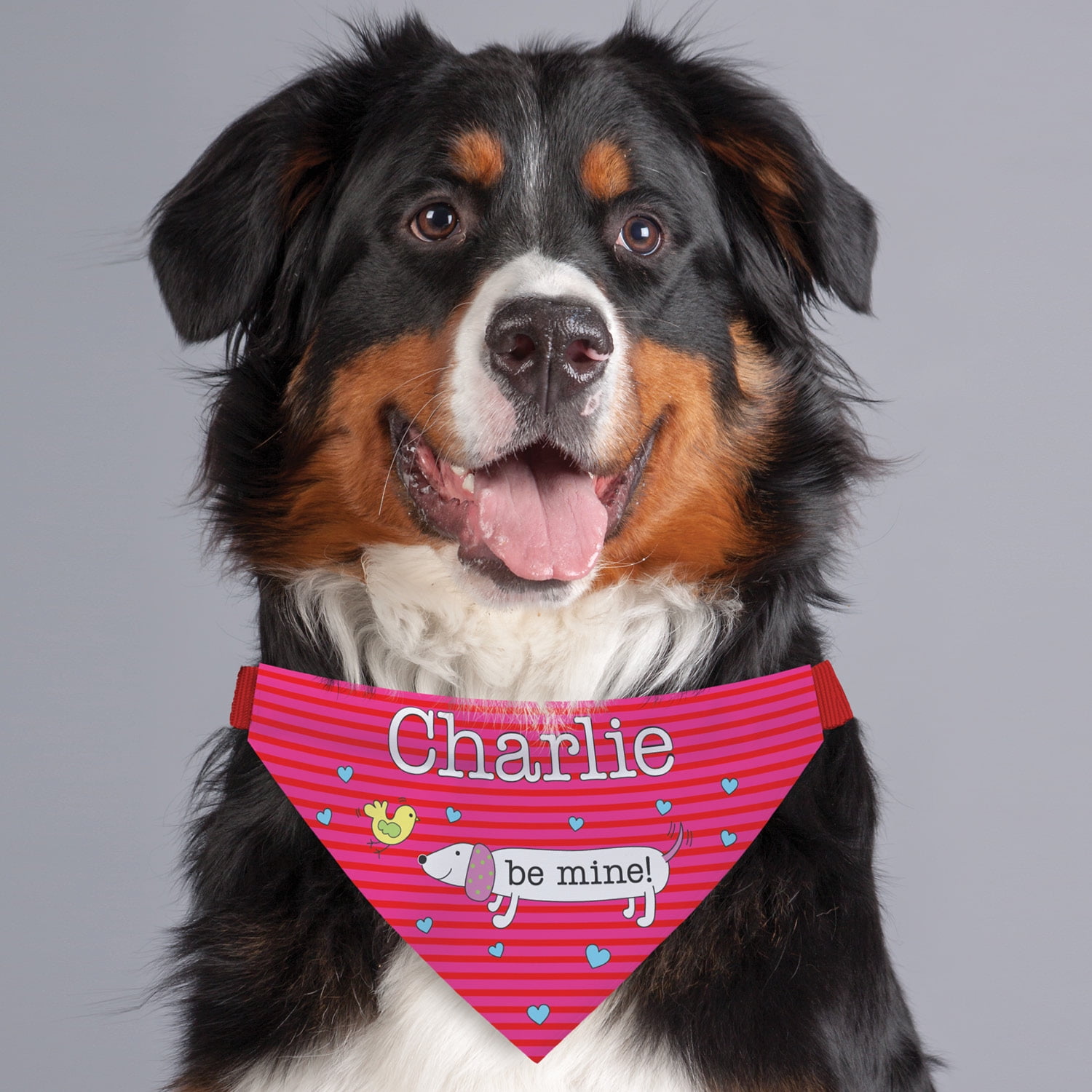 Be Mine Personalized Dog Bandana Collar Cover