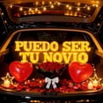 thumbnail image 1 of Be My Girlfriend" LED Light-Up Letters Set - 14 LED Letters & 1000 Rose Petals for Valentine's Day Proposal Decor, 1 of 6