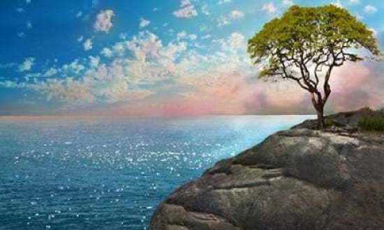 Be One with Me Canvas Art - David M Maclean (24 x 36)