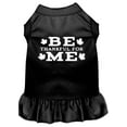 thumbnail image 1 of Pet Dog  Cat Dress Screen Printed, "Be Thankful For Me", 1 of 10