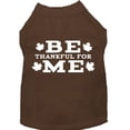thumbnail image 1 of Thanksgiving Screen Print Pet Shirt, "Be Thankful For Me", 1 of 11