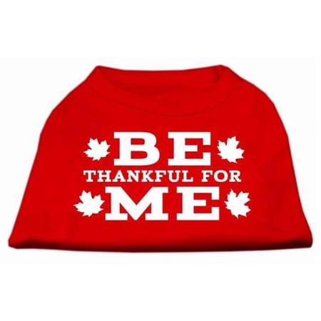 Be Thankful for Me Screen Print Shirt Red XS - 8