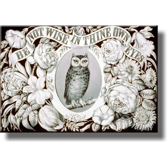 Be Wise Owl Insirational Picture Made on Stretched Canvas Wall Art Decor Ready to Hang!.