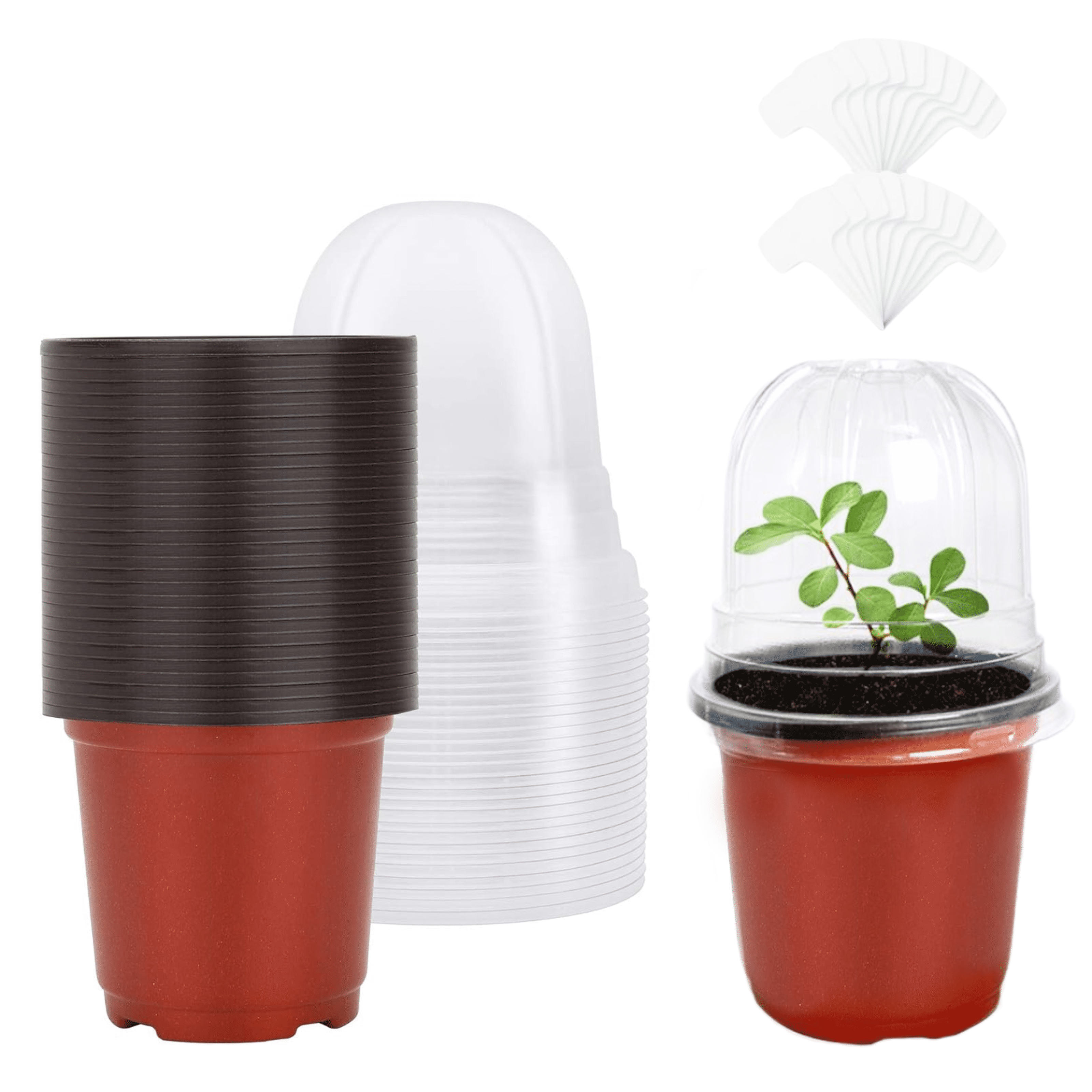 BeGrit Plant Nursery Pots with Humidity Dome 4" Soft Transparent ...