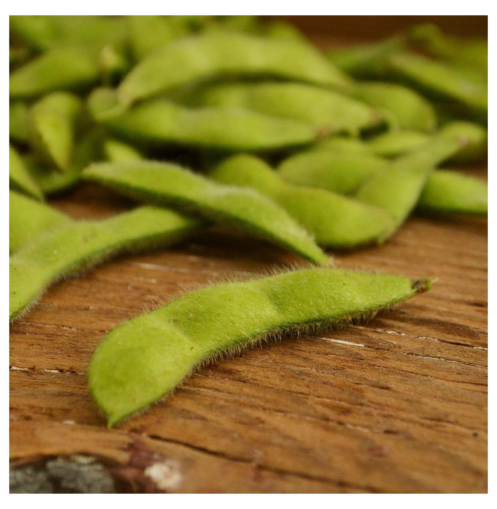 BeSweet Edamame 50 Seeds Heirloom & OpenPollinated Soybean Variety