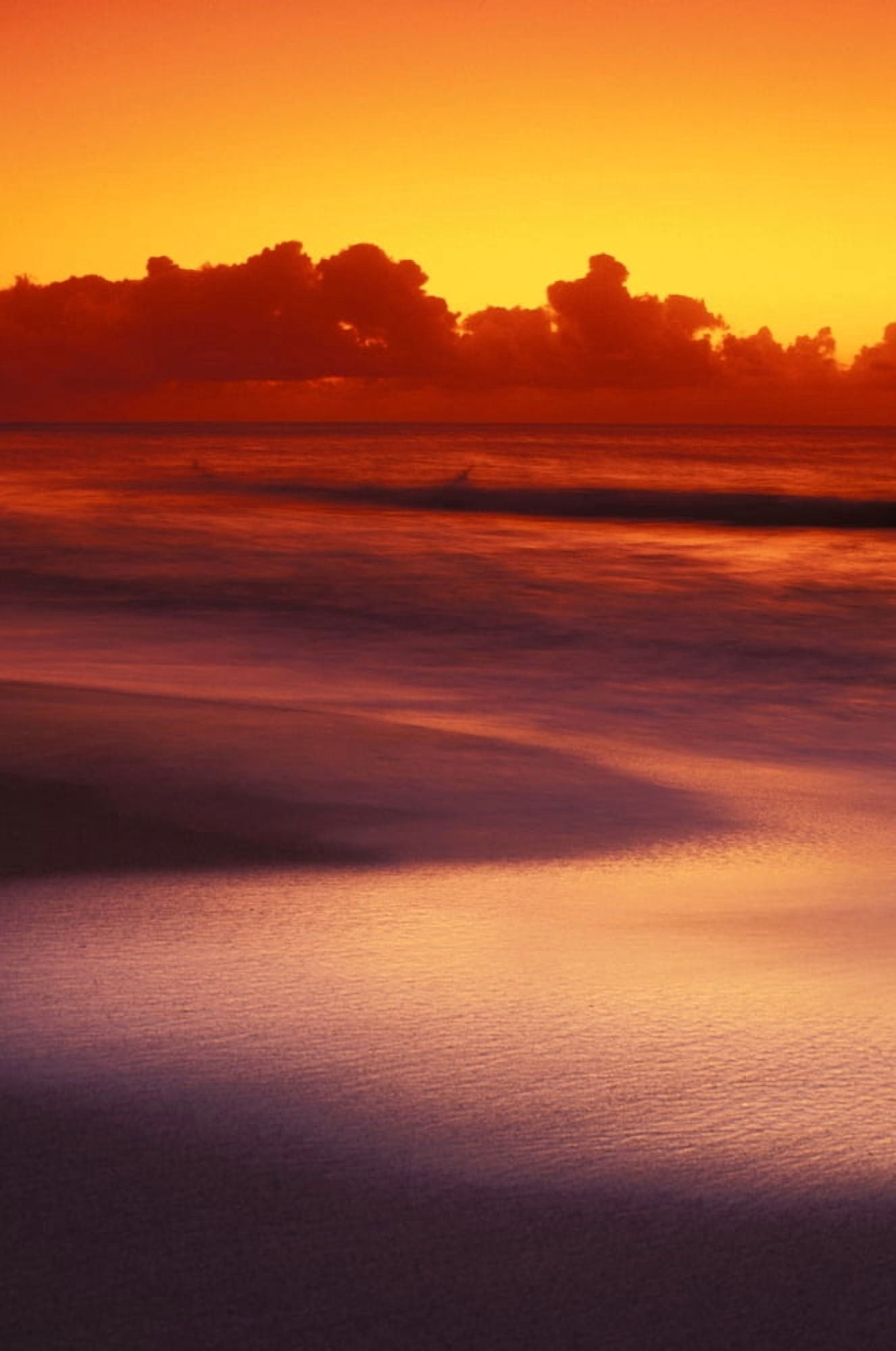 Beach At Sunset With Gentle Wave Rolling In Dark Orange Sky With Silver Reflections On Water Canvas Art - Vince Cavataio Design Pics (22 x 34)