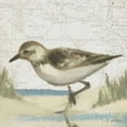 thumbnail image 1 of Beach Bird IV Poster Print by James Wiens, 1 of 2
