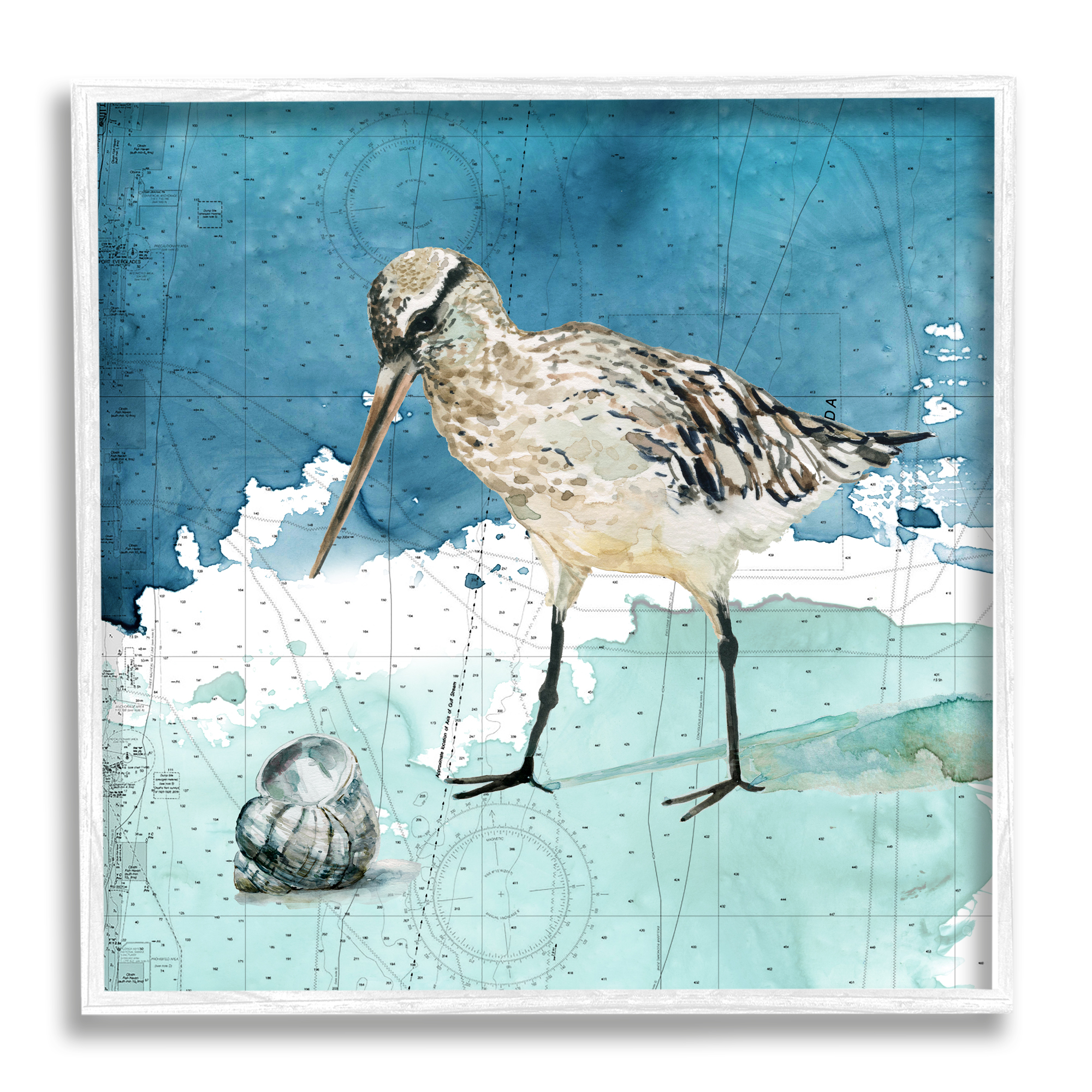 Beach Bird Round Shell Blue Ocean Coastal Map Animals & Insects Framed Art Print Wall Art, 17x17