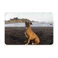 Beach Brown Boxer Dog Portrait Doormat Bath Mat NonSlip Floor Mat