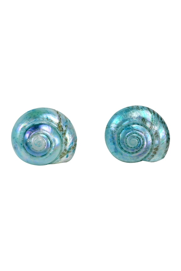Beach Chic Dyed Light Blue Shark Eye Moon Shell Sterling Silver Stud Earrings