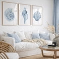 Conch Shell Fod Beach Coastal Shell Ammonite Conch Scallop House Decposter Poster, Set ...