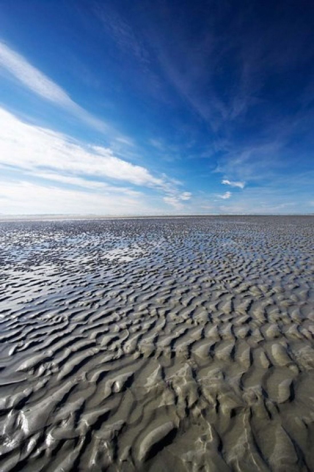 Beach Doctors Point South Island New Zealand (vertical) Canvas Art - David Wall DanitaDelimont (24 x 36)