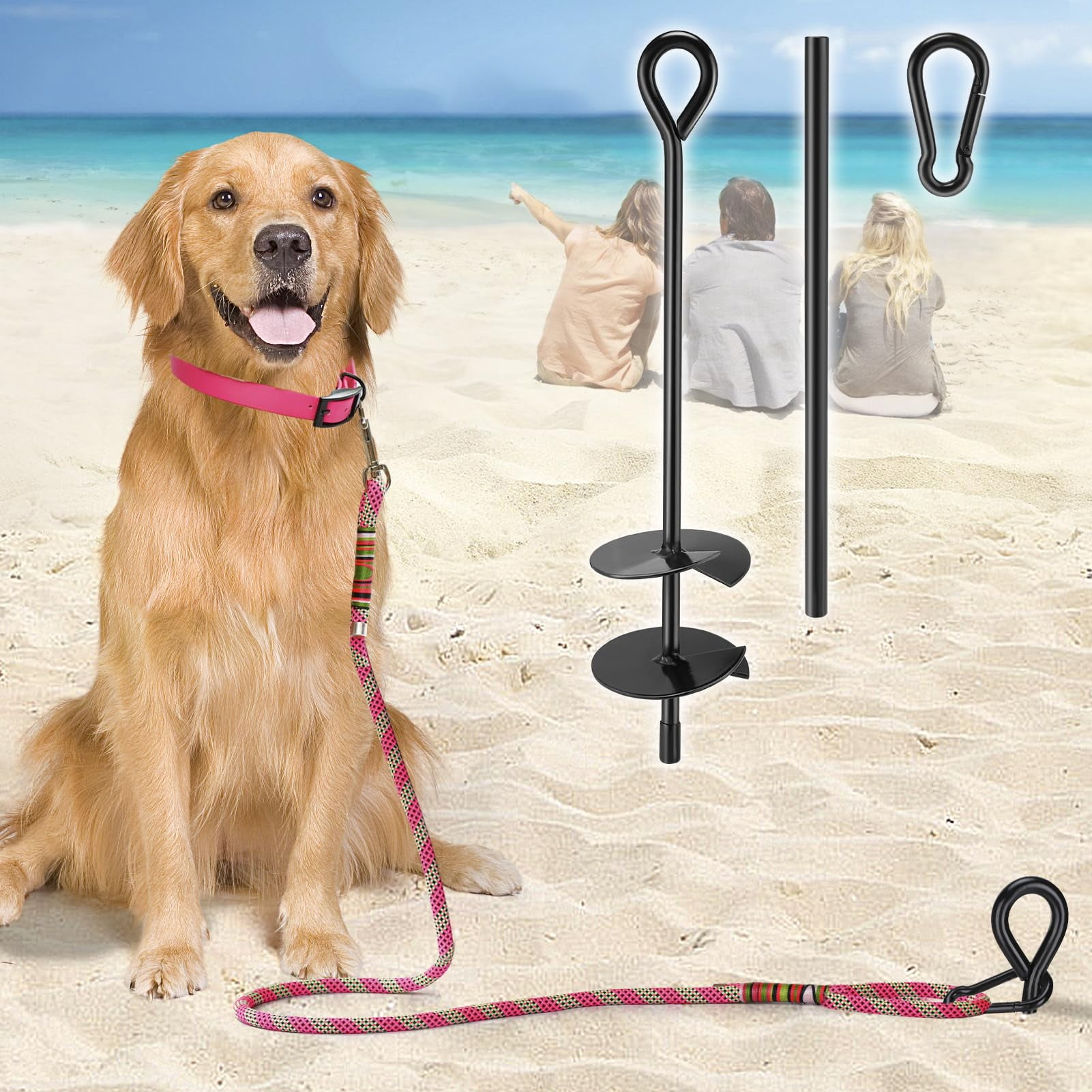 Dog leash stake beach outlet