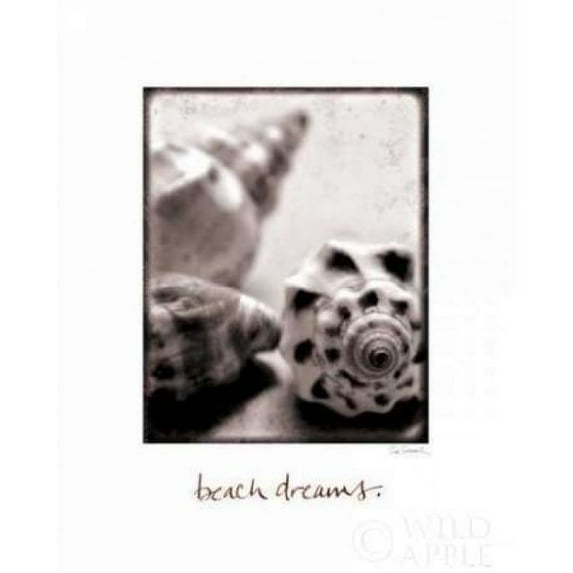 Beach Dreams Poster Print by Sue Schlabach (20 x 24)