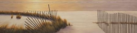 Beach Fence Canvas Art - Diane Romanello (12 x 36)