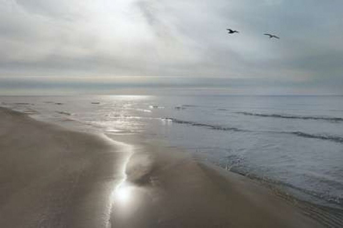 Beach Flight Canvas Art - Monte Nagler (24 x 36)