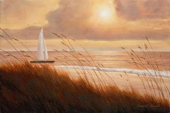 Beach Grass Sunset Canvas Art - Diane Romanello (24 x 36)