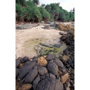 Beach Landscape Java Indonesia Canvas Art - Gavriel Jecan DanitaDelimont 18 x 27