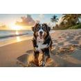 thumbnail image 1 of Beach Life Sandy Toes Bernese Mountain Dog Jigsaw Puzzles 300 Pieces for Adults Home Garden Family Wall Decor Picture Woods Puzzles, 1 of 7