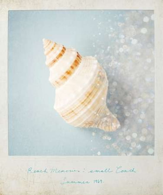 Beach Memories Small Conch Canvas Art - Susannah Tucker Photography (20 x 24)
