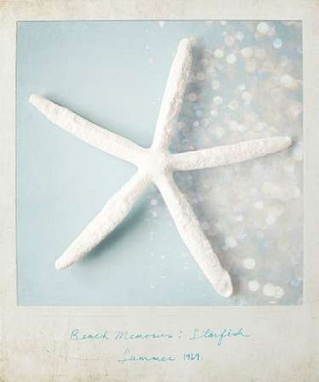 Beach Memories Starfish Canvas Art - Susannah Tucker Photography (20 x 24)