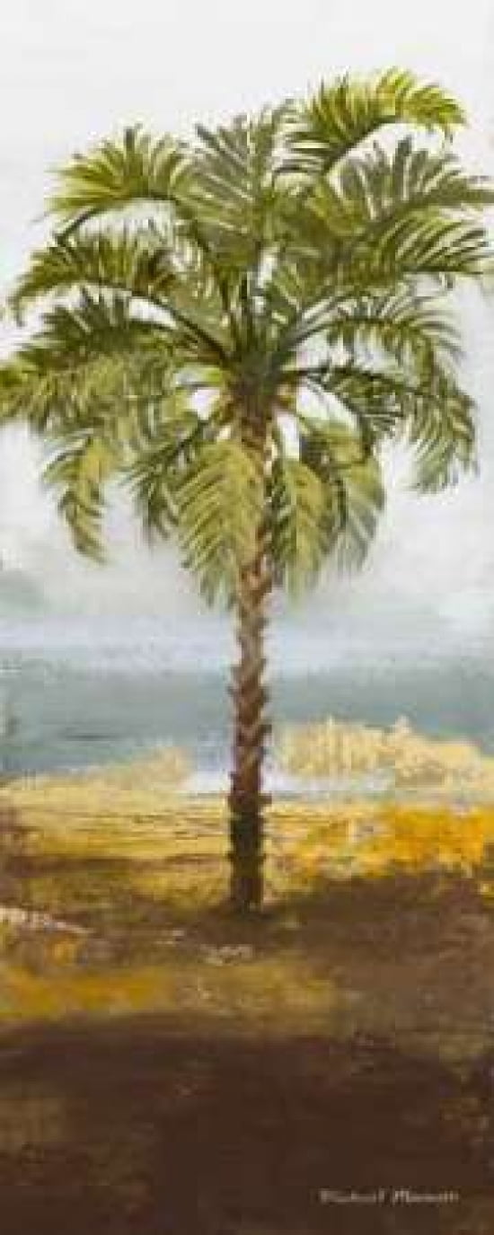 Beach Palm I Canvas Art - Michael Marcon (10 x 20)