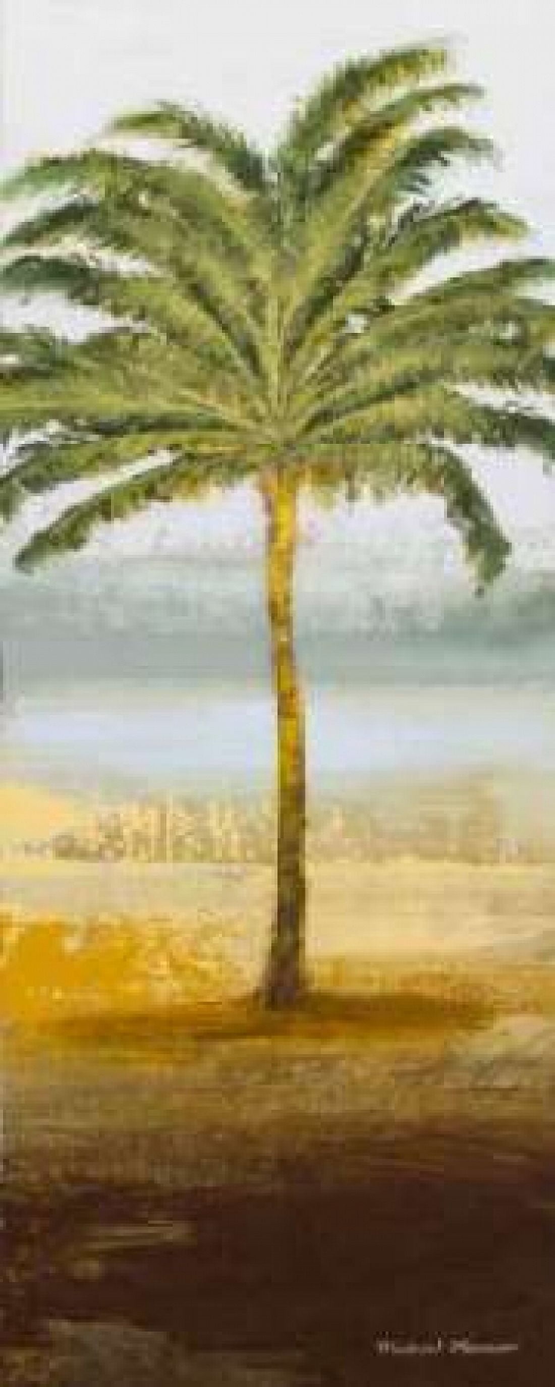 Beach Palm II Canvas Art - Michael Marcon (10 x 20)