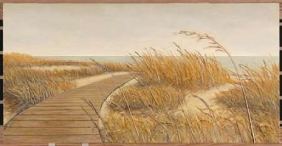 Beach Path Canvas Art - Arnie Fisk (24 x 36)