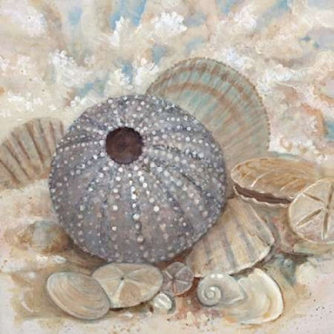 Beach Prize III Canvas Art - Arnie Fisk (24 x 24)