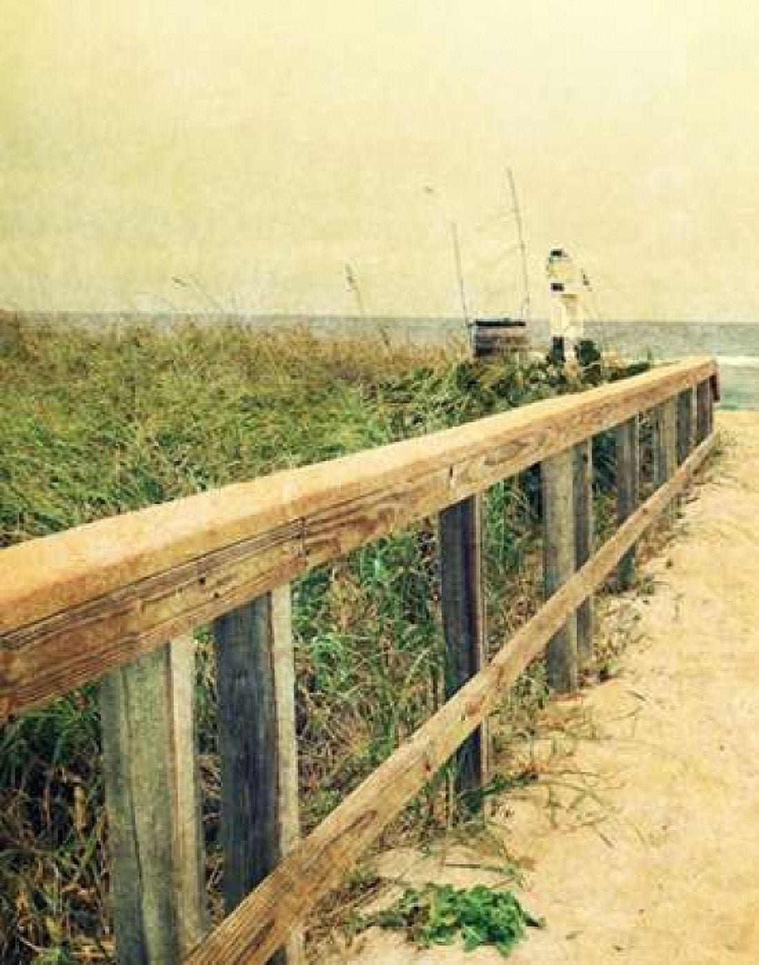 Beach Rails I Canvas Art - Lisa Hill Saghini (18 x 24)