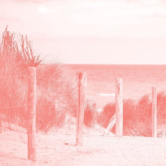 Beach Ready 3 Poster Print by Allen Kimberly (12 x 12)