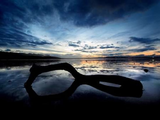 Beach Reflection Canvas Art - Marina Cano (18 x 24)