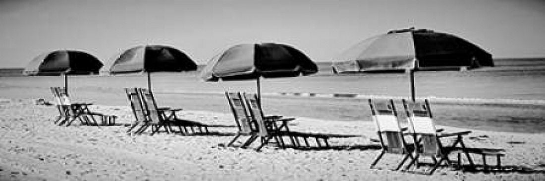 Beach Reunion Canvas Art - Gail Peck (8 x 24)