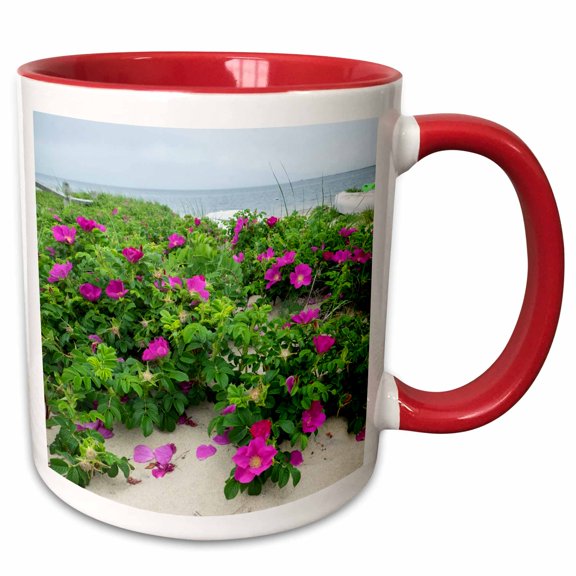 3drose, Beach Roses, Madaket, Nantucket, Massachusetts, Usa, 11oz Two-tone Red Mug