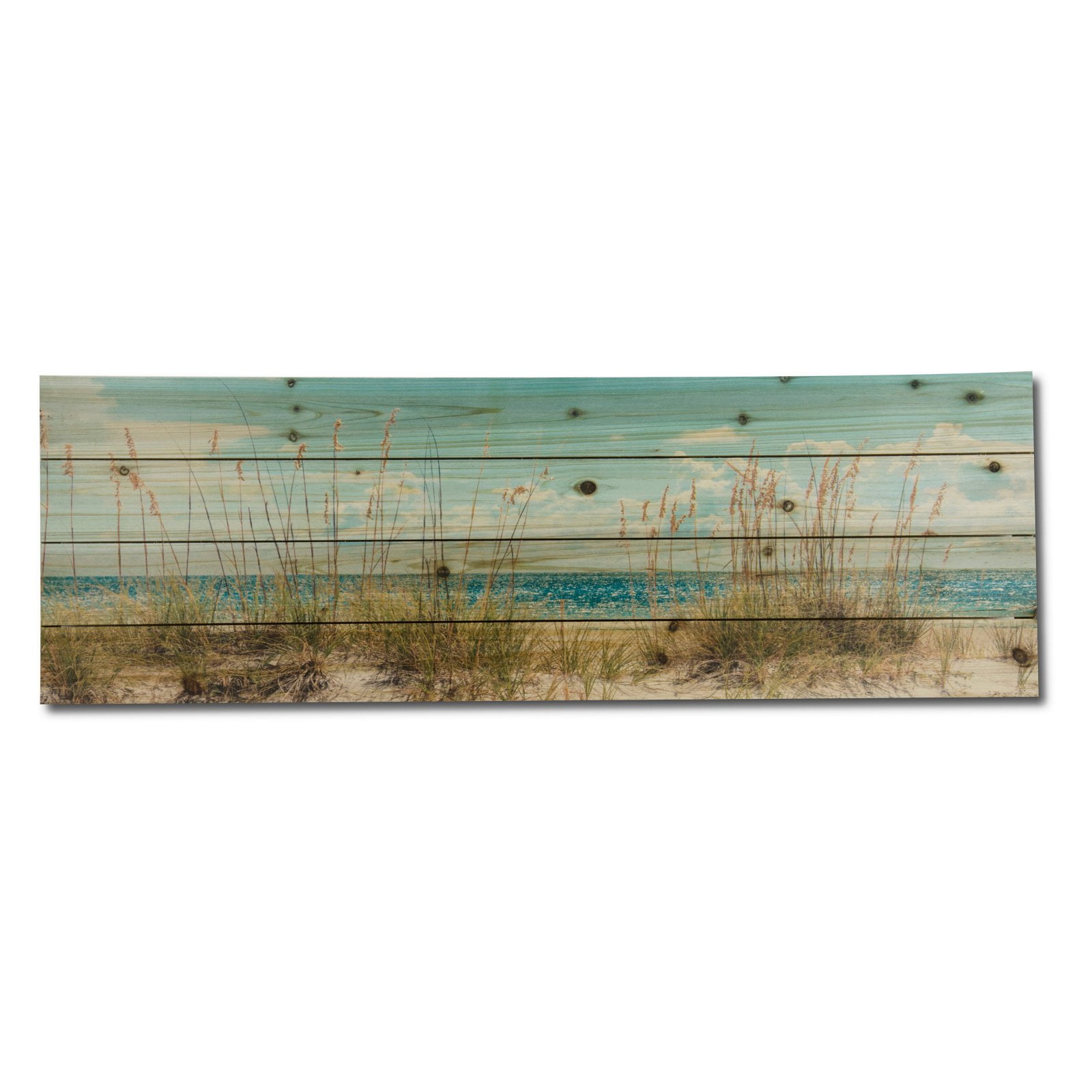 Beach Sand Dunes Coastal Print on Fir Wood Wall Art
