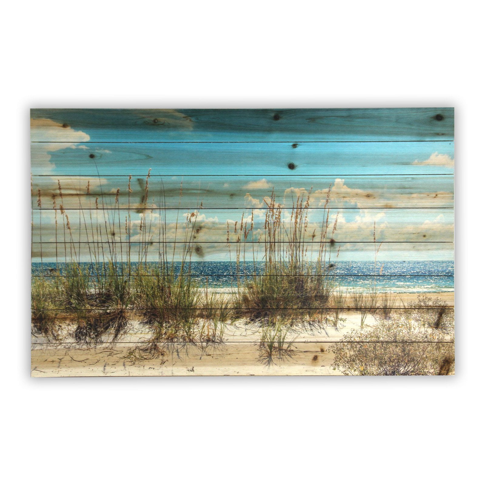 Beach Sand Dunes Coastal Print on Planked Wood Wall Art