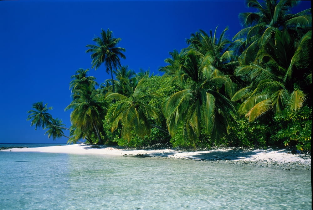Beach Scene The Maldives Canvas Art - Panoramic Images (27 x 9)
