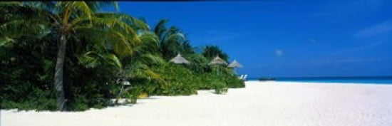 Beach Scene The Maldives Canvas Art - Panoramic Images (36 x 12)