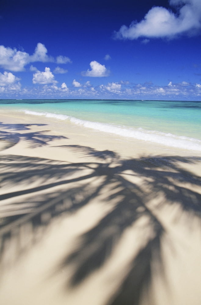 Beach Scene With Palm Shadow On Shoreline Sand Tropical Canvas Art - Dana Edmunds Design Pics (24 x 38)